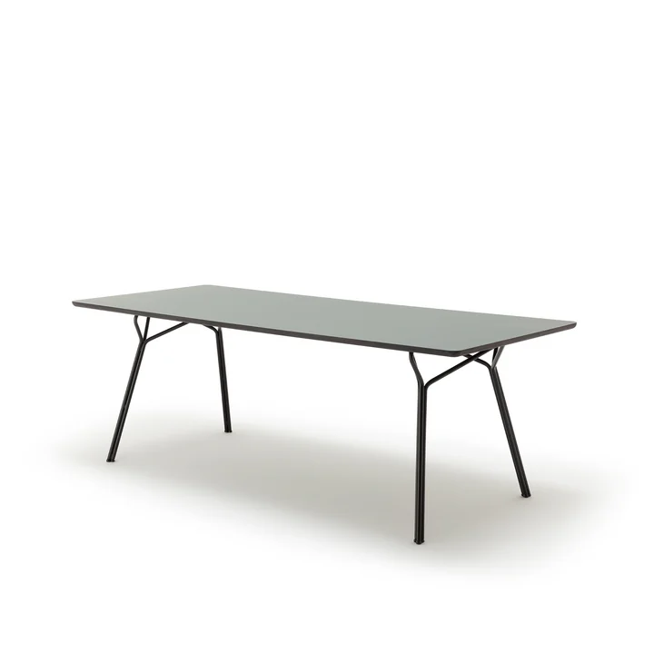 120 -201 Table de salle à manger, 160 x 90 cm de freistil en gris olive