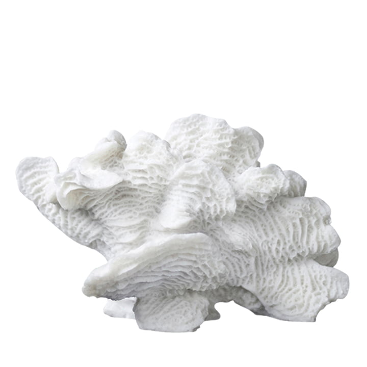 Coral Objet décoratif Éventail de Mette Ditmer en blanc