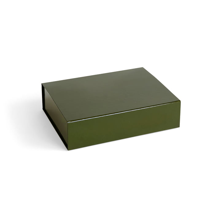 Colour Boîte de rangement magnétique S de Hay dans la couleur olive
