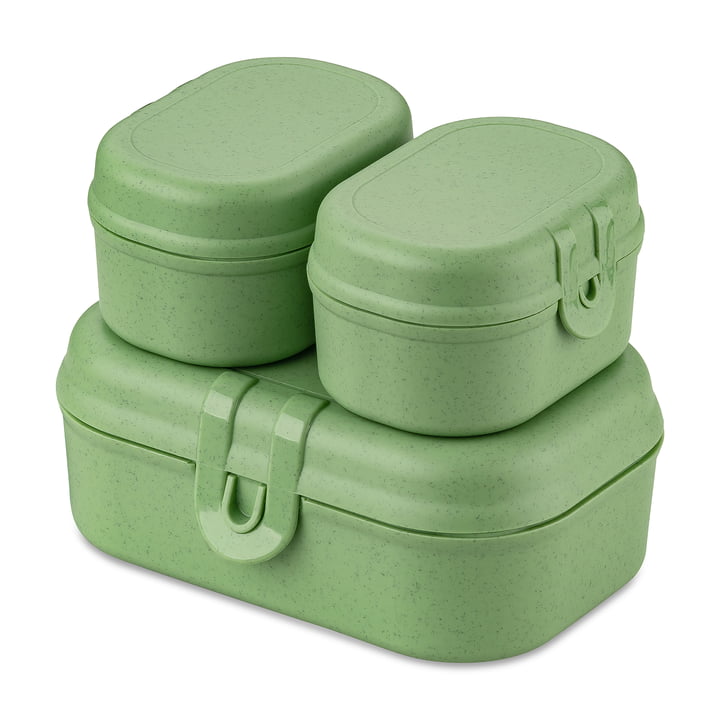 Pascal Ready Mini set de boîtes à lunch, nature leaf green de Koziol