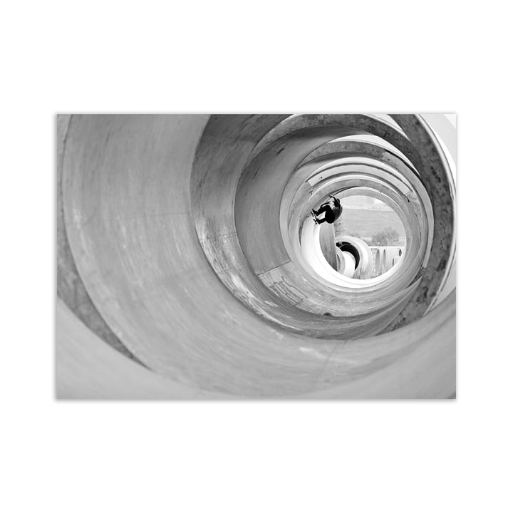 The Ollie Poster 50 x 70 cm de Paper Collective