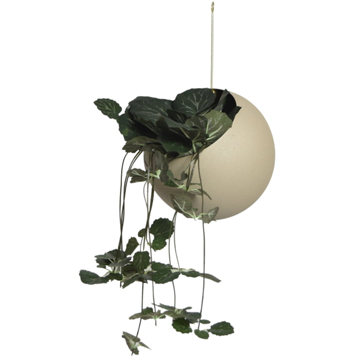 Globe Pot de fleurs suspendu de AYTM