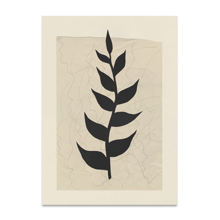 Plant Poem Poster de Paper Collective dans la version 50 x 70 cm