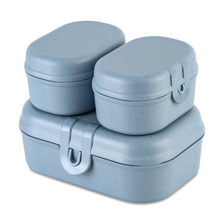Koziol - Pascal Ready Mini set de boîtes à lunch, nature flower blue (set de 3)