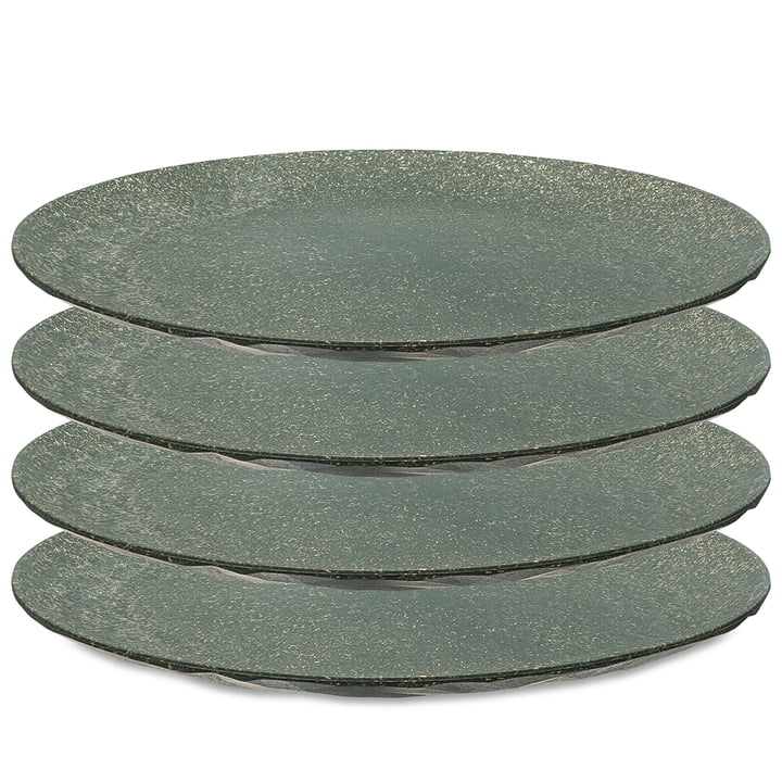 Koziol - CLUB PLATE Assiette plate, 26 cm, nature ash grey (set de 4)