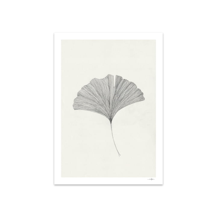 Ginkgo Leaf par Ana Frois, 50 x 70 cm par The Poster Club