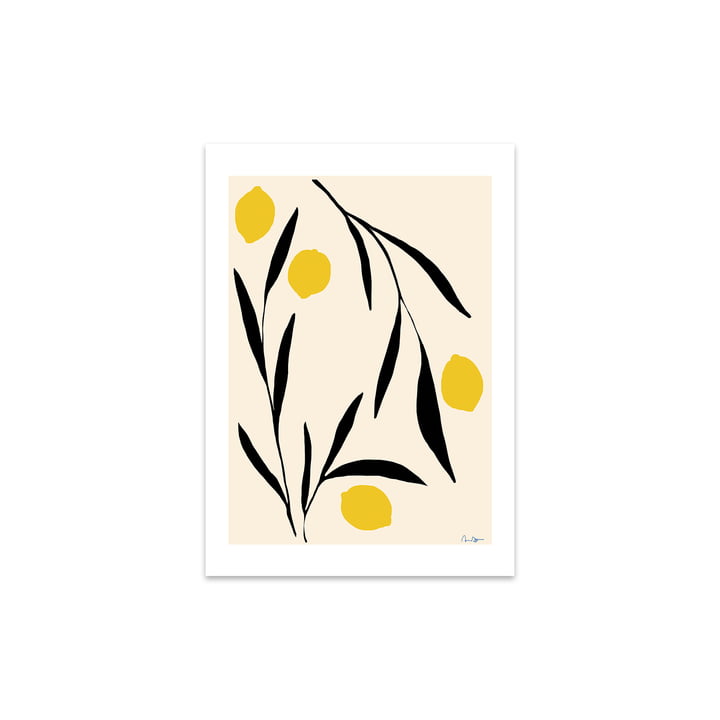 Lemon par Anna Mörner, 30 x 40 cm