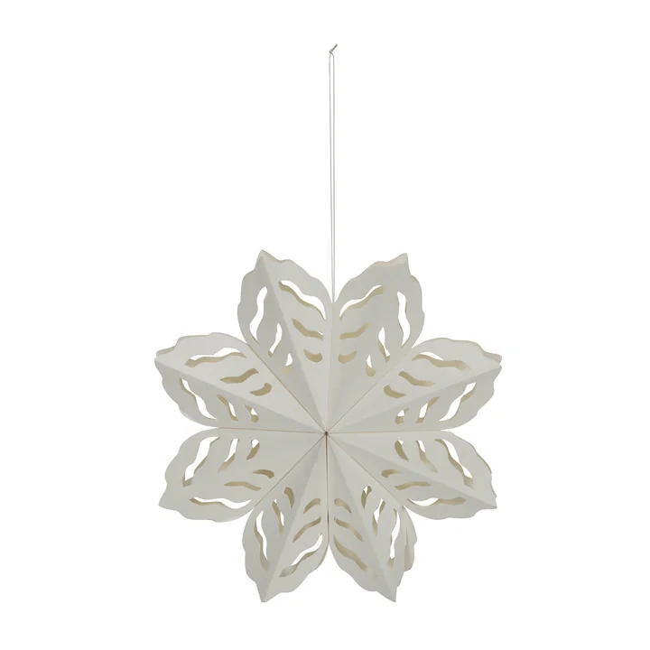 Flocon de neige de House Doctor