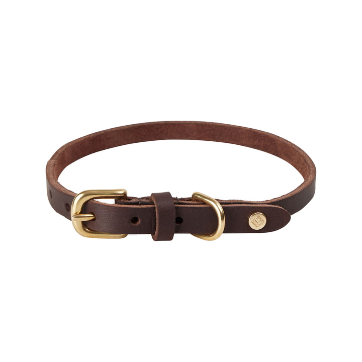 OYOY ZOO - Robin Collier pour chien, large, choko