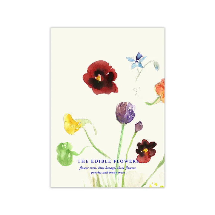 Paper Collective - The Edible Flowers Poster, 50 x 70 cm