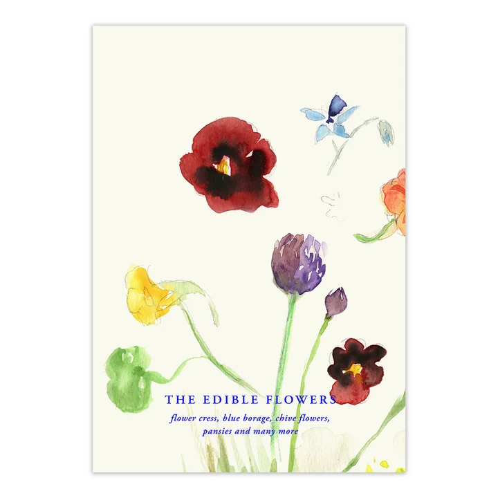 Paper Collective - The Edible Flowers Poster, 70 x 100 cm