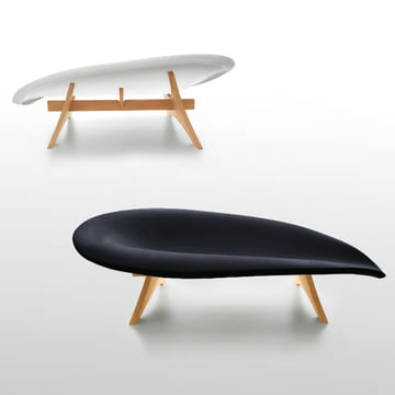 Danese Milano - Siège Cocoa