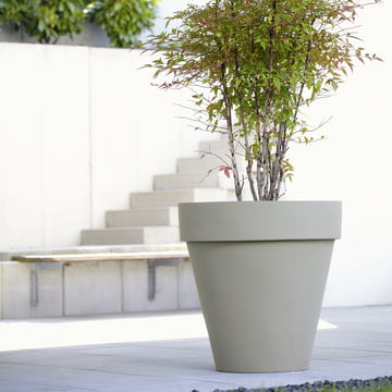 Il a avec le bord du XL par amei