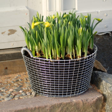 Corbeille en fil Classic 35 comme pot de fleur