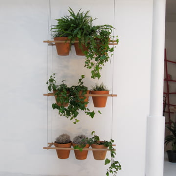 Edition Compagnie - Cloison végétale Etcetera (set de 3)