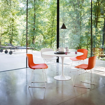 Knoll - Bertoia Chaise en plastique