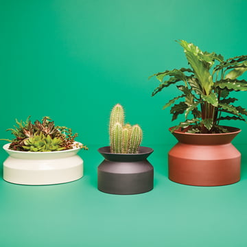 Pot à plantes de Boskke