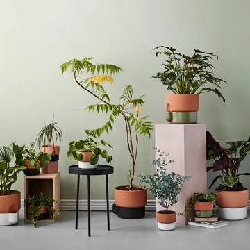 Pots à plantes esthétiques