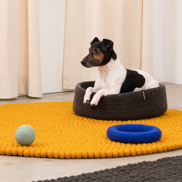 Kuno corbeille pour chien, Ø 40 cm de myfelt