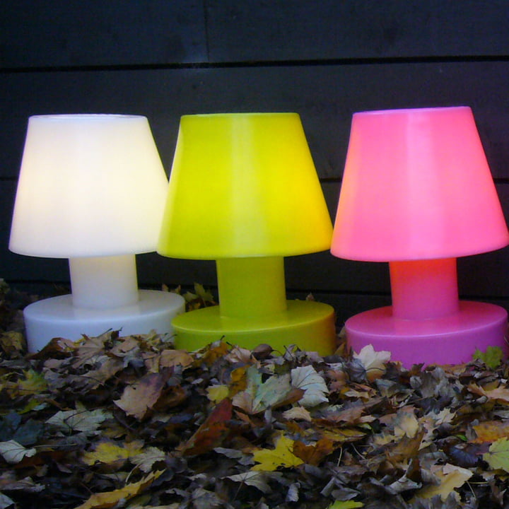 Lampe LED Portable de Bloom! en ligne