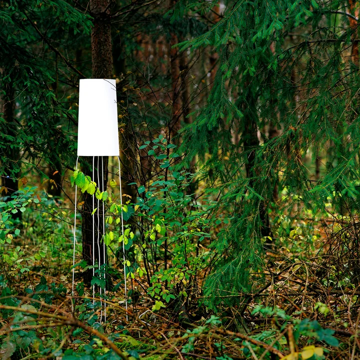 Slimsophie Lampadaire de frauMaier