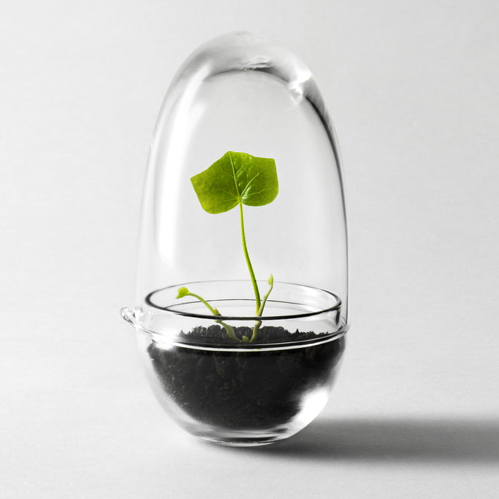 Grow Serre de Design House Stockholm