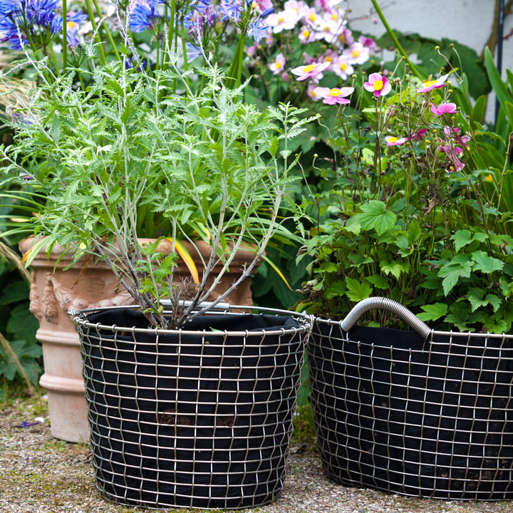 Corbeille en fil métallique Bucket et Bin de Korbo en acier inoxydable