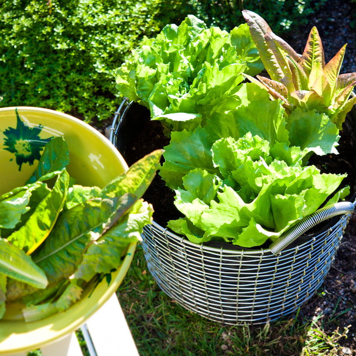 Corbeille en fil avec Plant Bag pour le jardin