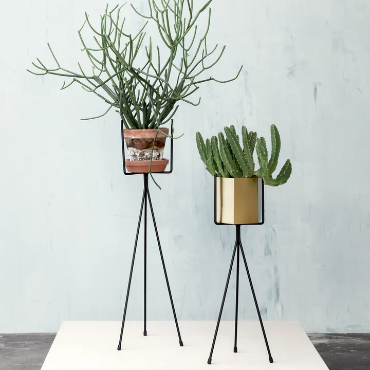 Plant Stand est disponible en deux tailles