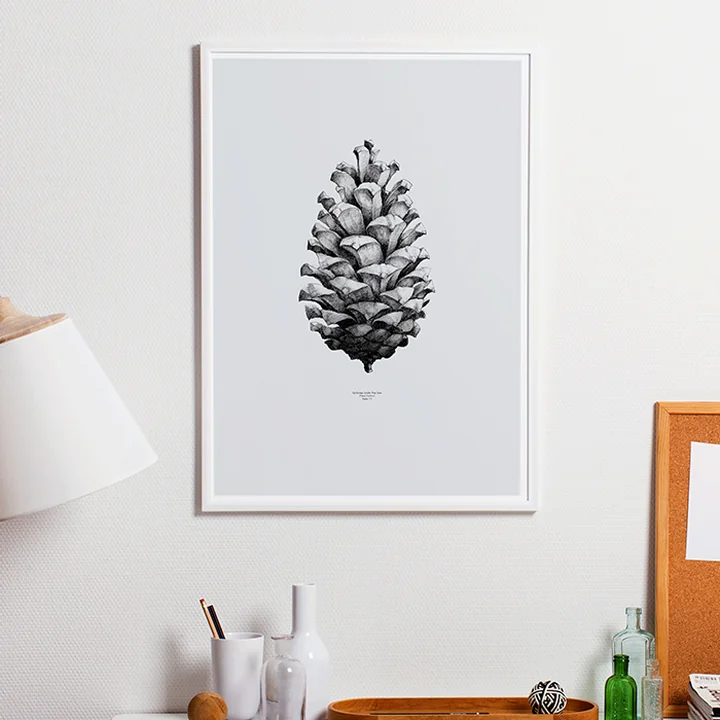 Paper Collective - Nature 1 : 1 Pomme de Pin (gris)