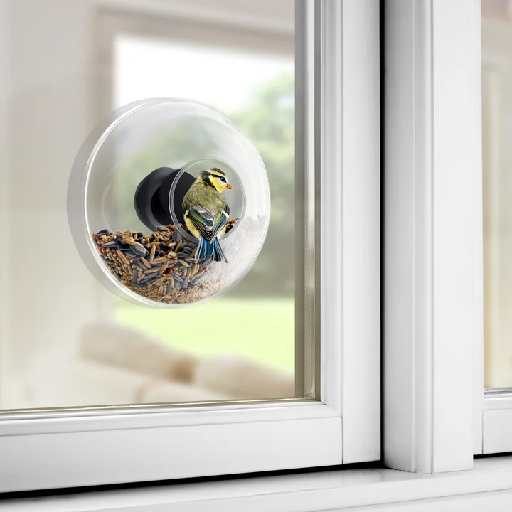 la nature juste devant la fenêtre