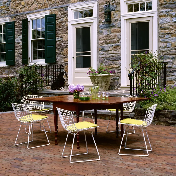 La chaise Bertoia de Knoll