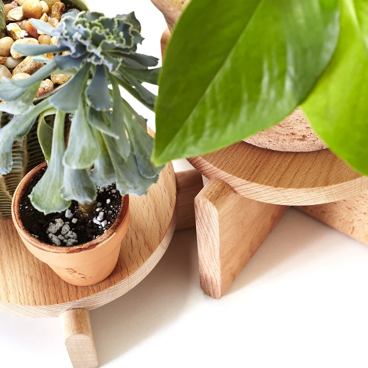Areaware - Set de podiums pour plantes