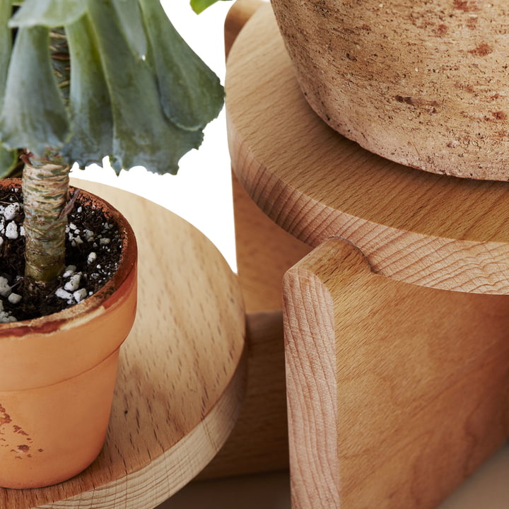 Le kit de piédestal pour plantes de Areaware avec un grain de bois naturel
