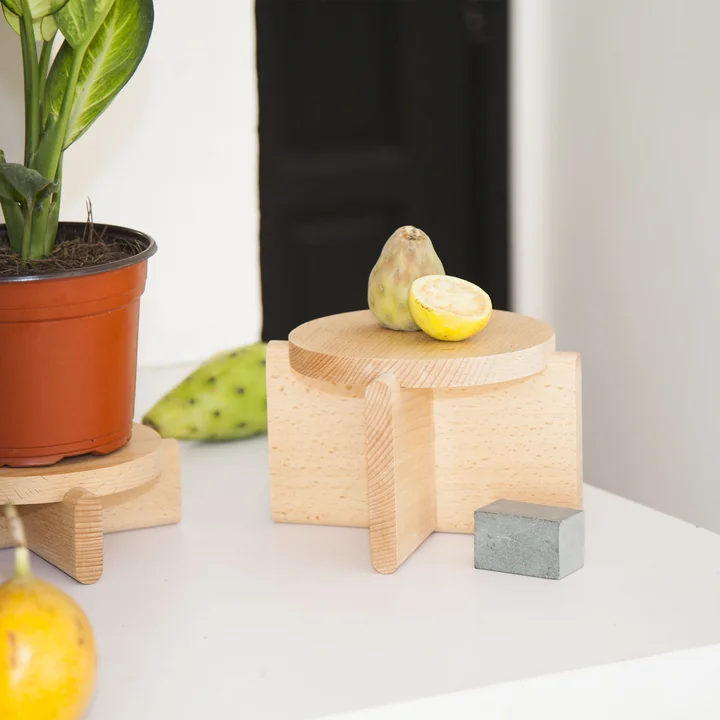 Set de plates-formes pour plantes de Areaware