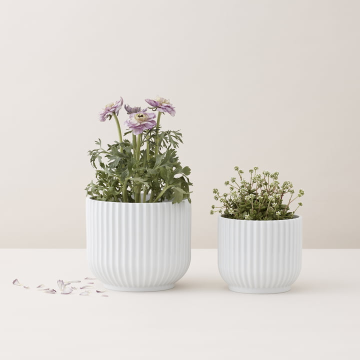 Pot de fleurs de Lyngby Porcelæn