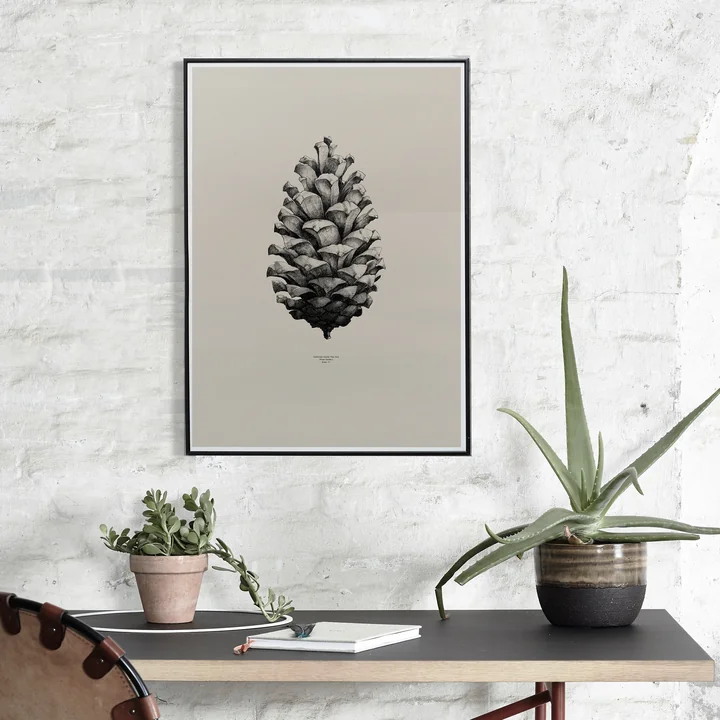 Paper Collective - Poster Nature 1:1 Pine Cone (sable)
