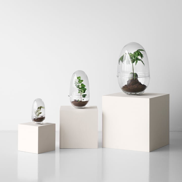 Grow Serre de Design House Stockholm