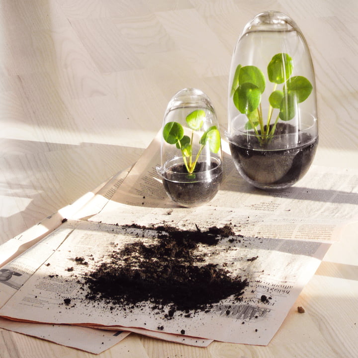 Grow Serre de Design House Stockholm