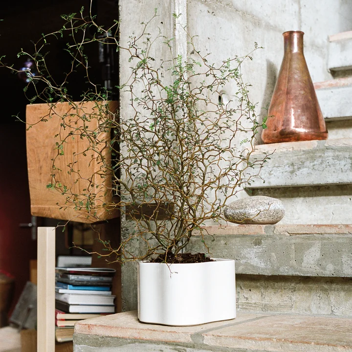 Jardinière Riihitie par Artek