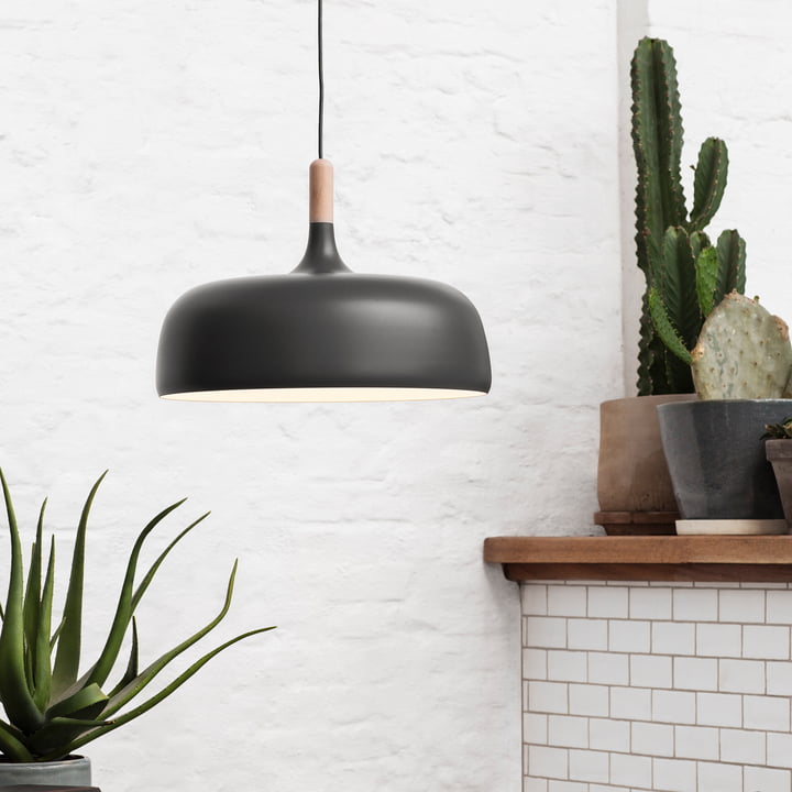 Acorn Suspension de northern lighting