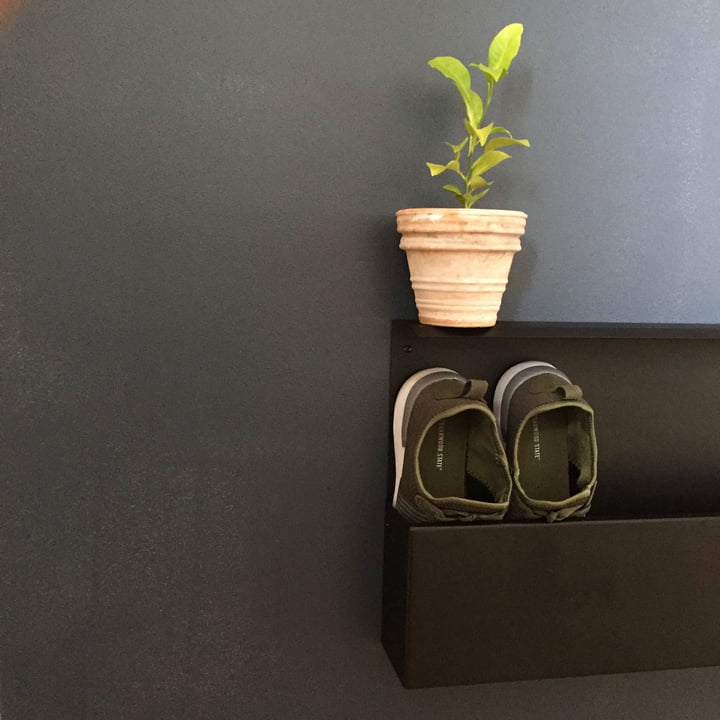 La Shoe Box de Nichba Design, décorative, avec plante