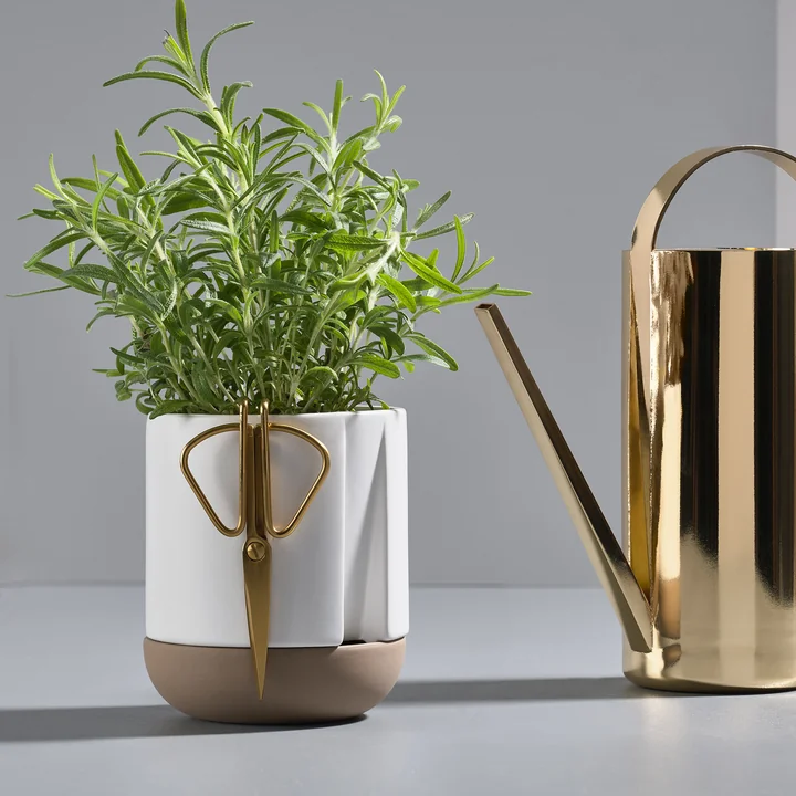 Le Zone Denmark - Herb & Sprout