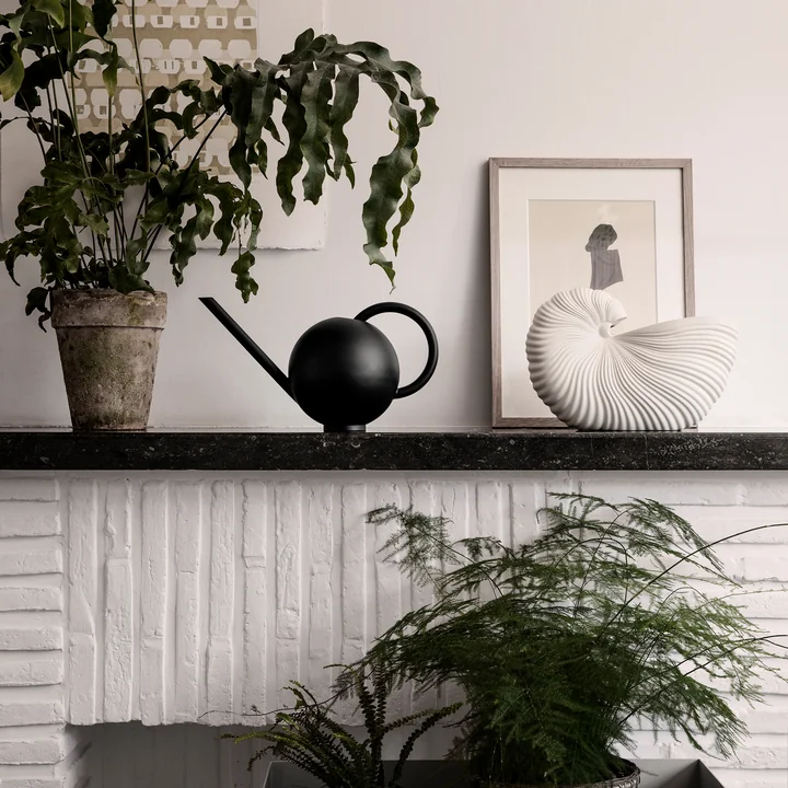 Arrosoir Orb et Schell Pot de fermentation Living
