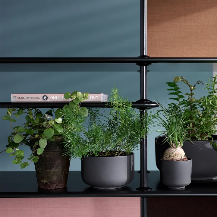 Module d'étagère gratuit de Montana en noir