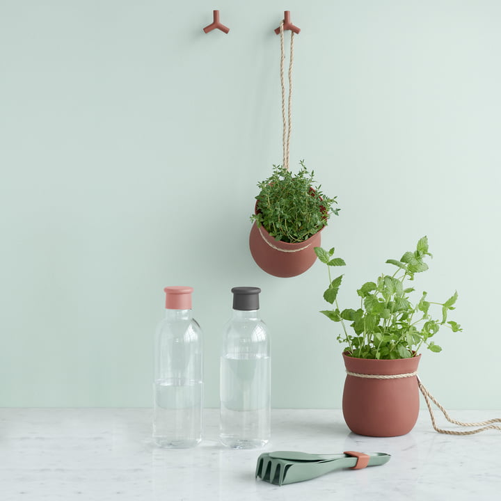 Drink-It, Green-It et Grow-It de Rig-Tig by Stelton