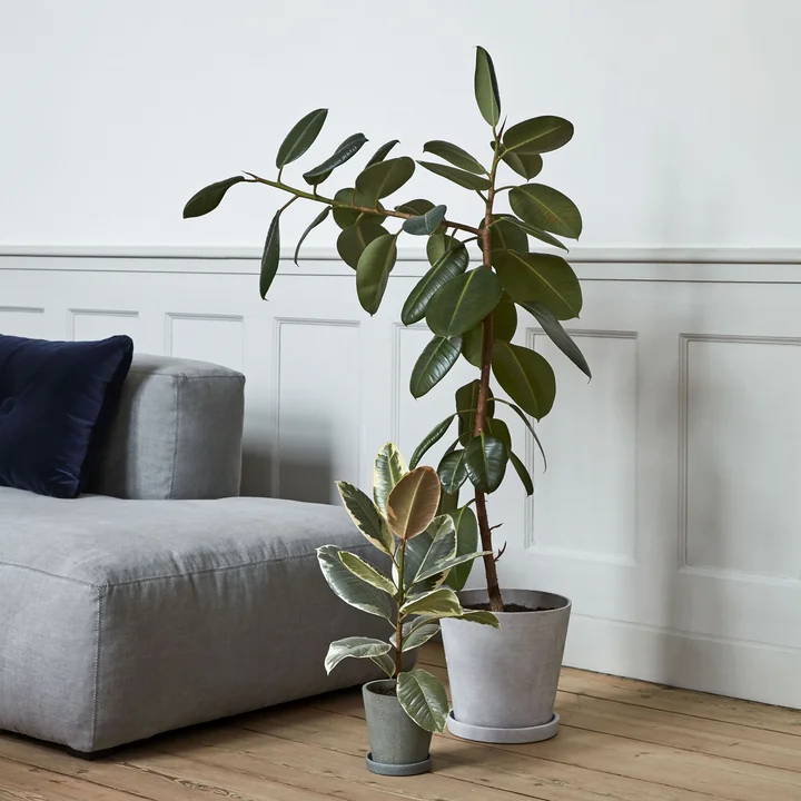 Canapé et pot de fleurs Mags avec dessous de plat par HAY