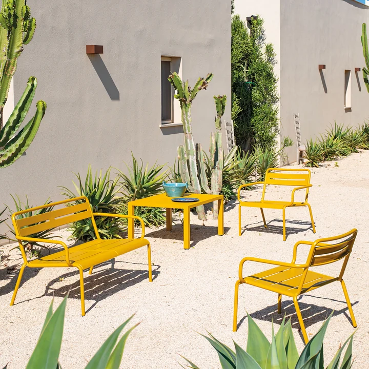 Star Série de Emu dans le jaune curry