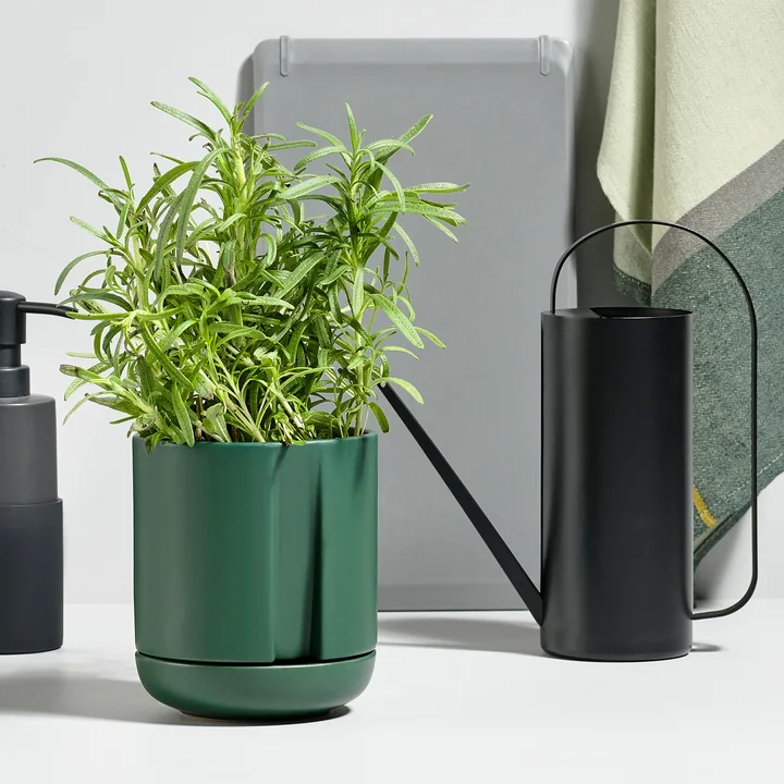 Pot d'herbes à arroser soi-même Herb & Sprout à partir de Zone Denmark en vert jungle