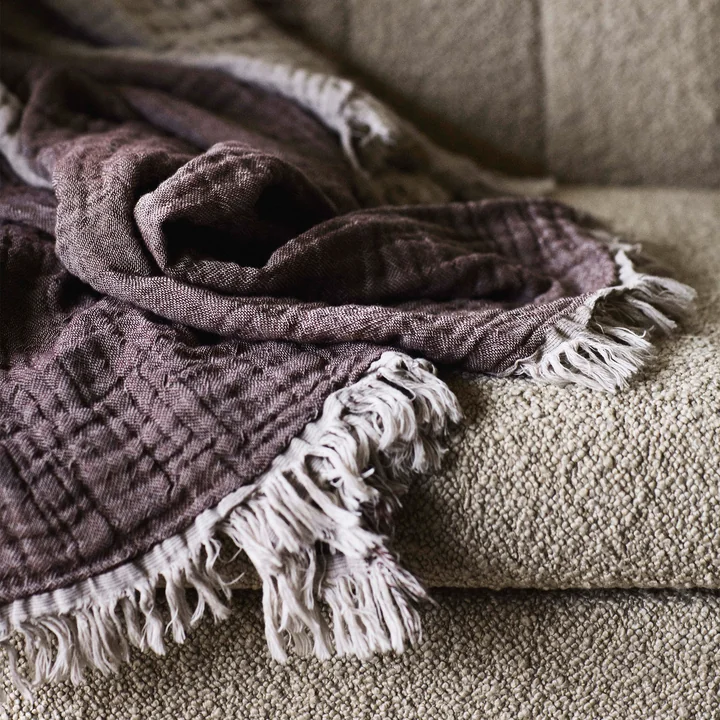 Collect SC32 Plafond de & Tradition